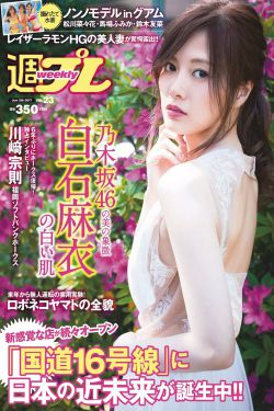 电视剧真心英雄